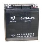 FM型6V、12V系列電池